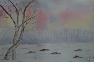 "Paesaggio invernale" acquerello 30,5x45,5cm 2010